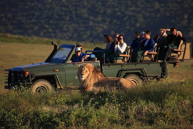 Luxury 2-Day In & Out Garden Route Safari Tour - All about the wildlife and scenery  