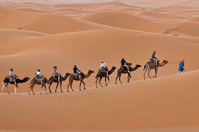 Luxury 2-Days Desert Trip from Fes to.:( fes or marakech) - The Itinerary in Detail