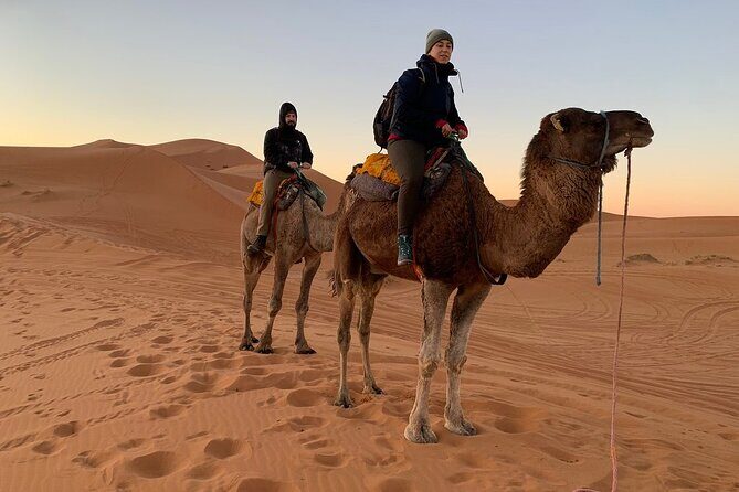 Luxury 2-Days Desert Trip from Fes to.:( fes or marakech) - FAQ: Your Practical Questions Answered