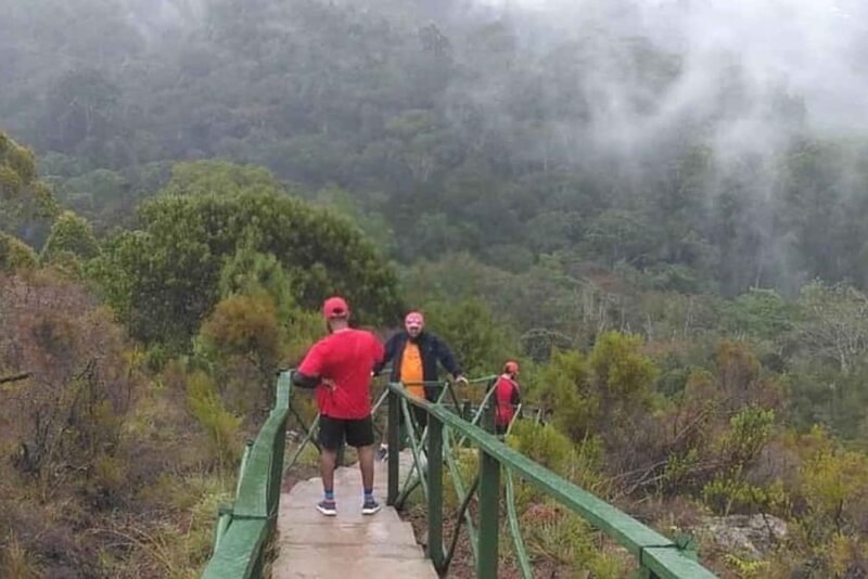 LUXURY: 4-DAY MANGAMBA RAIN FOREST AND USAMBARA MOUNTAIN - Introduction
