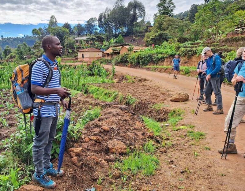 LUXURY: 4-DAY MANGAMBA RAIN FOREST AND USAMBARA MOUNTAIN - Day 1: Arrival and Transfer to Lushoto
