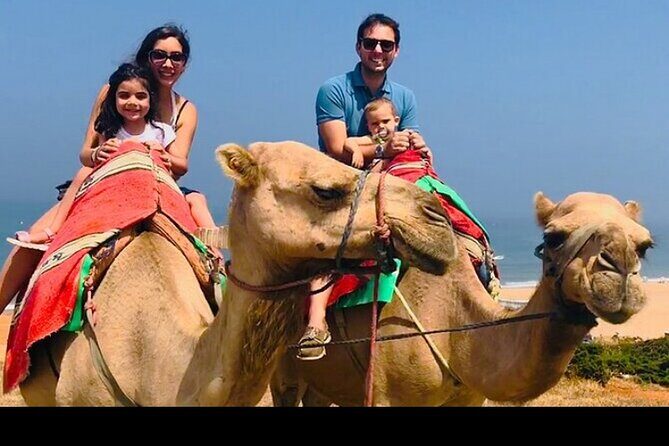 luxury 4 Hour Private Tour of Tangier - Who Should Consider This Tour?