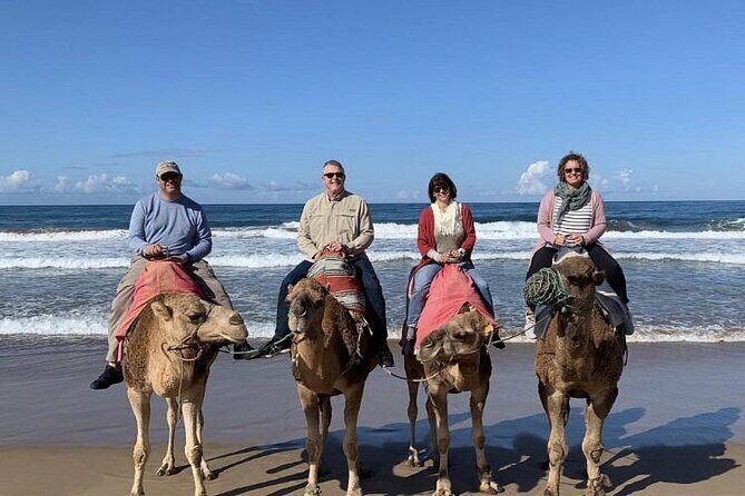 luxury 4 Hour Private Tour of Tangier - The Sum Up