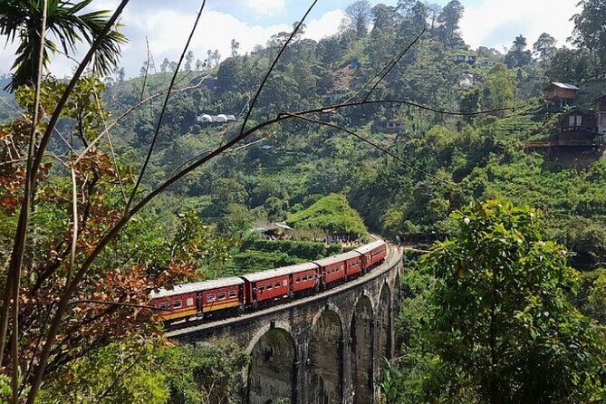 Luxury 7 Days Cultural Triangle Tour in Sri Lanka - Key Points