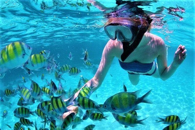 Luxury All-Inclusive Catamaran Cruise to Ile aux Cerfs and GRSE Waterfall - Practical Tips for Making the Most of Your Day