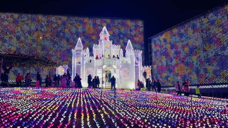 Luxury Ashikaga Flowers Park Tour With Pickup & Drop off - An In-Depth Look at the Ashikaga Flowers Park Tour