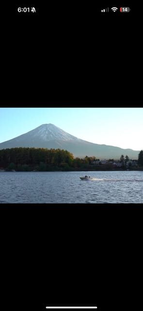 Luxury Benz Private Day Trip to Mount Fuji with Guide - Key Points