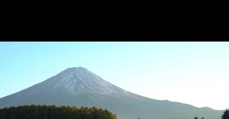 Luxury Benz Private Day Trip to Mount Fuji with Guide - Who This Tour Is Best For