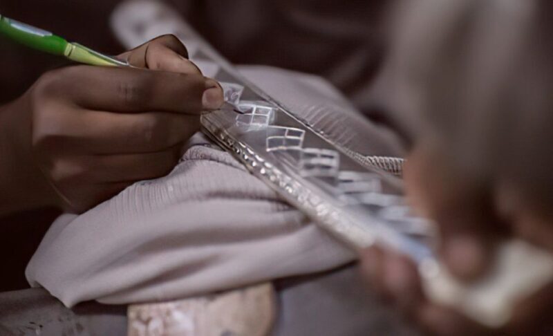 Luxury Boat ride, Havelis, Heritage Walk & High Tea - Introduction