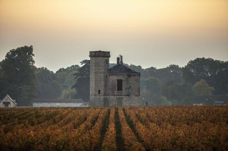 luxury-burgundy-private-wine-tour