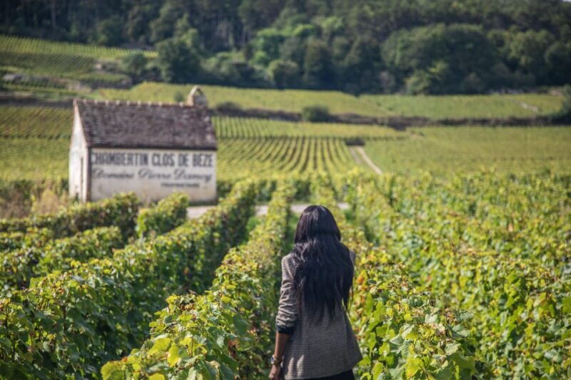 luxury-burgundy-private-wine-tour