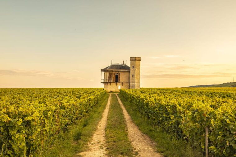 luxury-burgundy-private-wine-tour