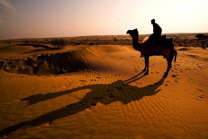 Luxury Camping with Desert Safari In Jaisalmer - FAQs