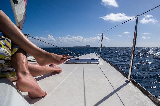 Luxury Catamaran Cruise: The Northern Islands - What to Expect on the Tour