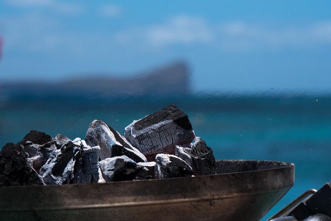 Luxury Catamaran Cruise: The Northern Islands - Who Will Love This Tour?