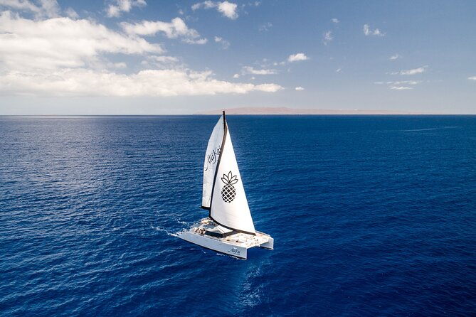 luxury-catamaran-royal-sunset-dinner-sail-adults-only