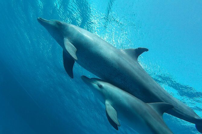 Luxury Cruise inc. Snorkeling/Massage/Island/water sport & Lunch - Introduction: Why This Tour Catches Our Eye
