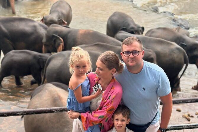 Luxury Day Trip from Colombo to Pinnawala and Kandy Highlights - Key Points