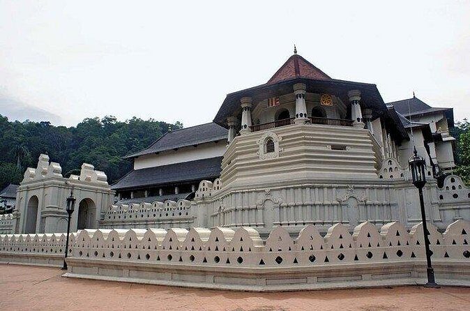 Luxury Day Trip from Colombo to Pinnawala and Kandy Highlights - FAQ