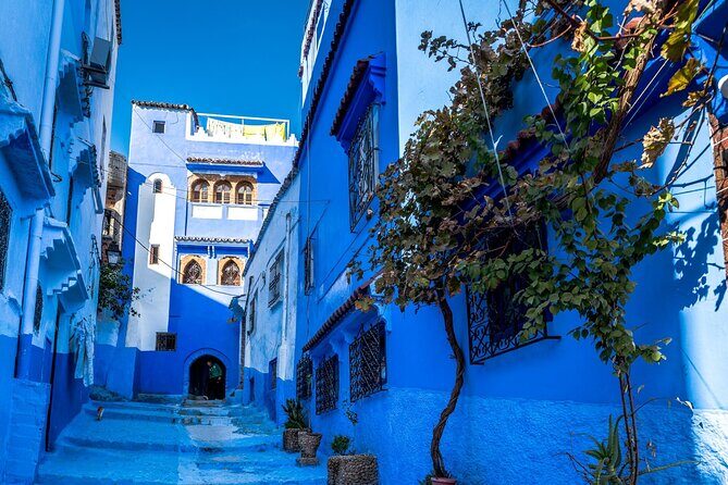 Luxury Day Trip to Chefchaouen - Who Will Love This Experience?