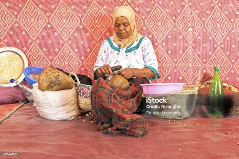 Luxury day trip to Essaouira from Marrakech - Detailed Review of the Essaouira Day Trip