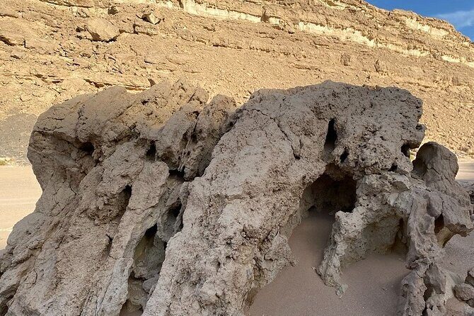 Luxury Desert Safari Tour, Morning & Afternoon from Hurghada - Transportation and Timing  