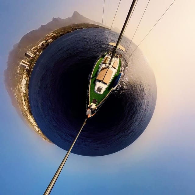 luxury-dolphin-boat-excursions-from-puerto-colon-tenerife