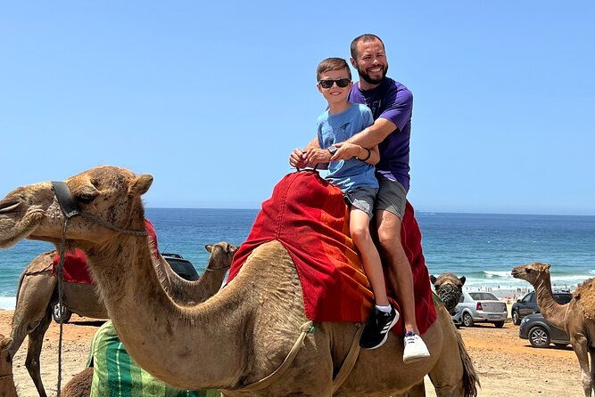 luxury-estepona-to-tangier-day-trip-ferry-food-camel-souks