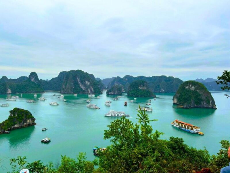 luxury-ha-long-bay-escape-day-trip-with-a-5-star-cruise