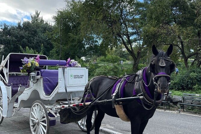 luxury-horse-and-carriage-tours-in-central-park