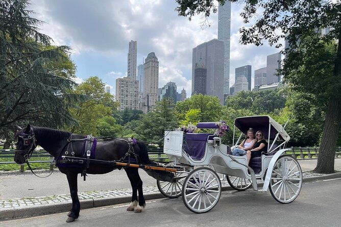 luxury-horse-and-carriage-tours-in-central-park