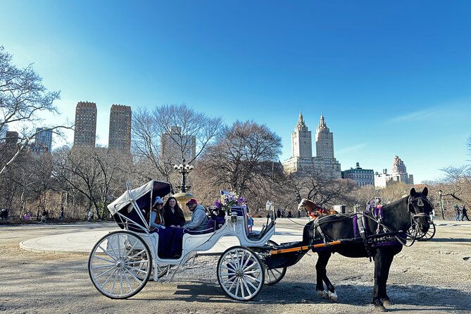 luxury-horse-and-carriage-tours-in-central-park