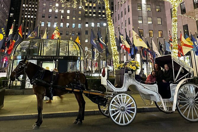 luxury-horse-and-carriage-tours-in-central-park