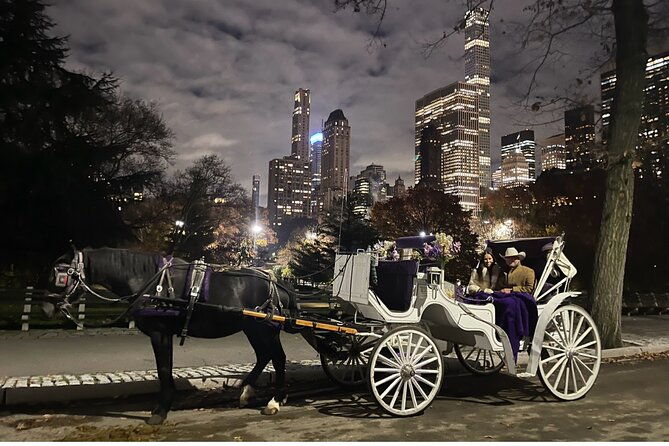 luxury-horse-and-carriage-tours-in-central-park