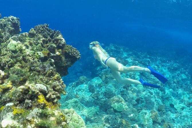 Luxury Kona Coast Snorkel Tour Including Lunch - The Value for Money  