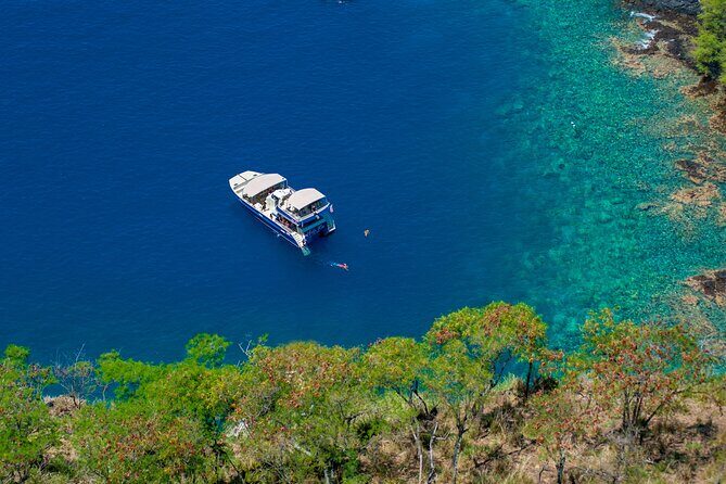 Luxury Kona Coast Snorkel Tour Including Lunch - Who Should Book This Tour?  