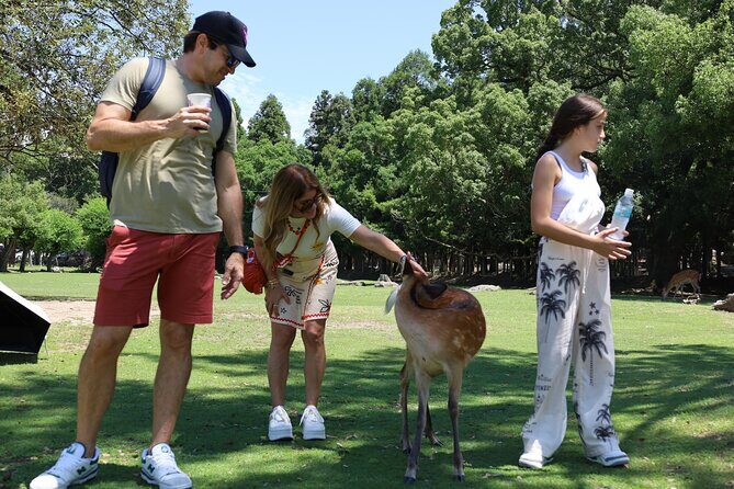 Luxury Kyoto 1-Day Private Car Tour with Nara & Osaka Options - Who Is This Tour Best For?