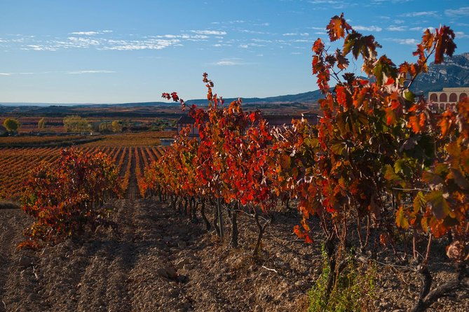 luxury-la-rioja-wineries-private-tour