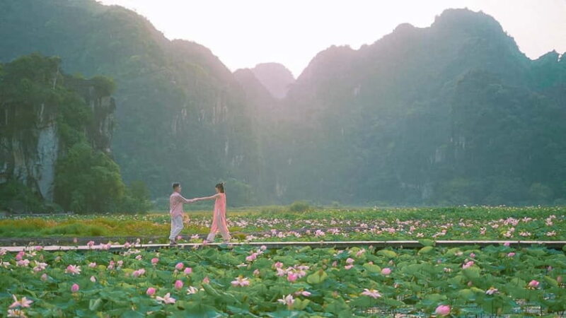 Luxury Limousine Tour: Hoa Lu, Trang An/Tam Coc & Mua Cave - The Transportation and Group Dynamics