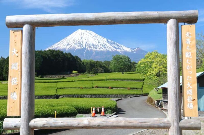 Luxury Mt. Fuji Day Trip by Shinkansen + Private Car - Price & Value: A Balanced Perspective