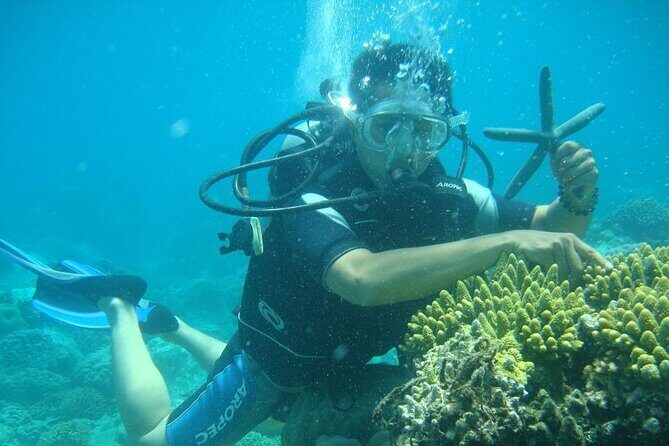 Luxury Nha Trang Islands Discovery - Detailed Review of the Luxury Nha Trang Islands Discovery Tour