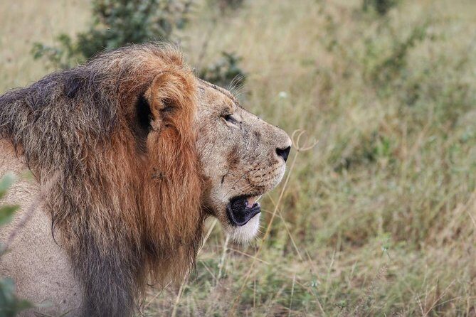 Luxury Okavango Safari - 3 Day - Key Points