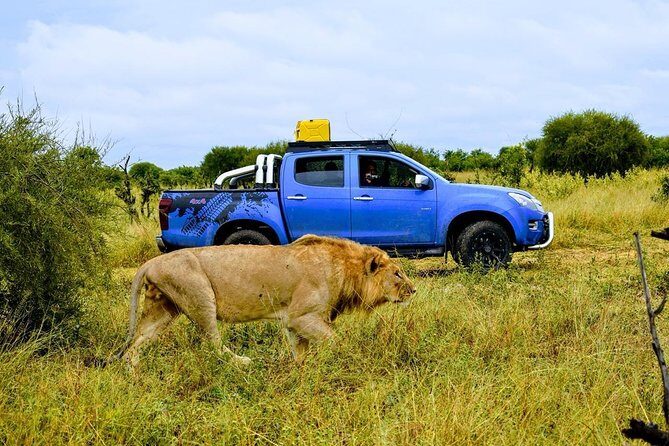 Luxury Okavango Safari - 3 Day - What’s Included and What’s Not