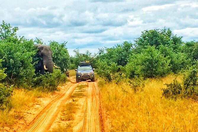 Luxury Okavango Safari - 3 Day - The Value of This Safari