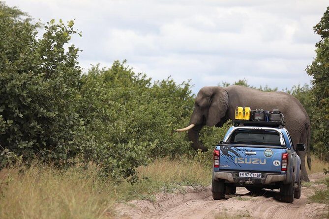 Luxury Okavango Safari - 3 Day - Who Should Consider This Safari?