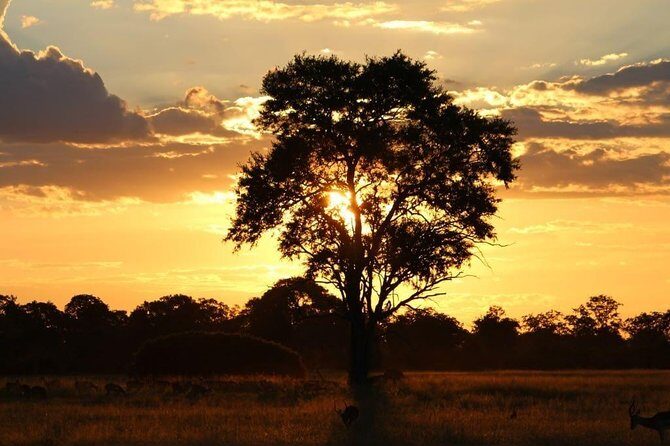Luxury Okavango Safari - 3 Day - FAQs