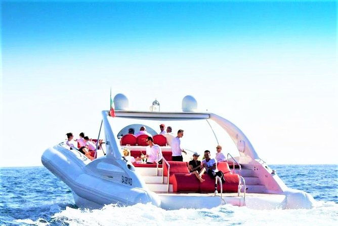 luxury-opera-60-whale-dolphin-watching-experience