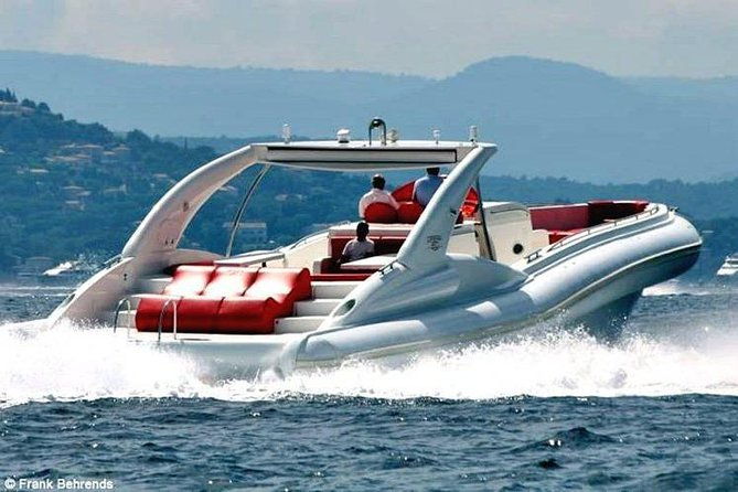 luxury-opera-60-whale-dolphin-watching-experience