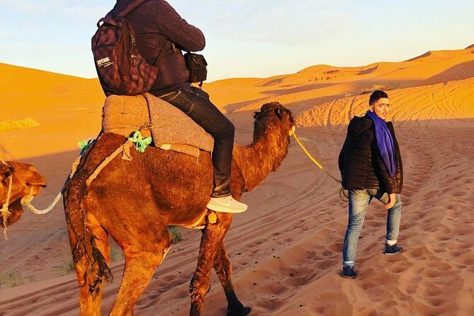 Luxury Overnight Sahara Desert trip fez Back to Fez or Marrakech - Final Thoughts: Who Should Consider This Tour?
