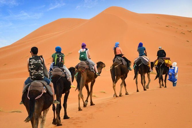 Luxury Private 4-Day Camel Trekking and Kasbah Trail from Marrakech - Day 2: From Dramatic Canyons to Desert Dunes